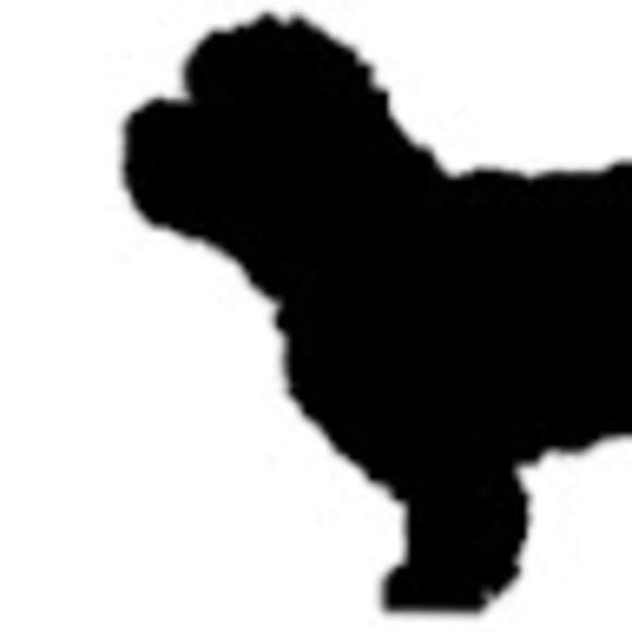 Meet your Posher, Jermaine - Picture 1 of 1